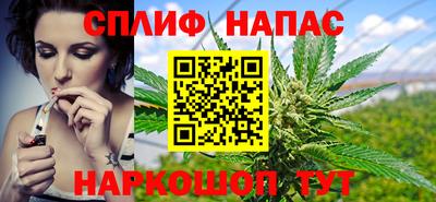 МДПВ Бийск