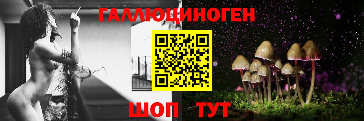Псилоцибиновые грибы Psilocybe  купить наркотик  Галлюциногенные грибы прущие грибы  Ирбит  Вход с VPN 